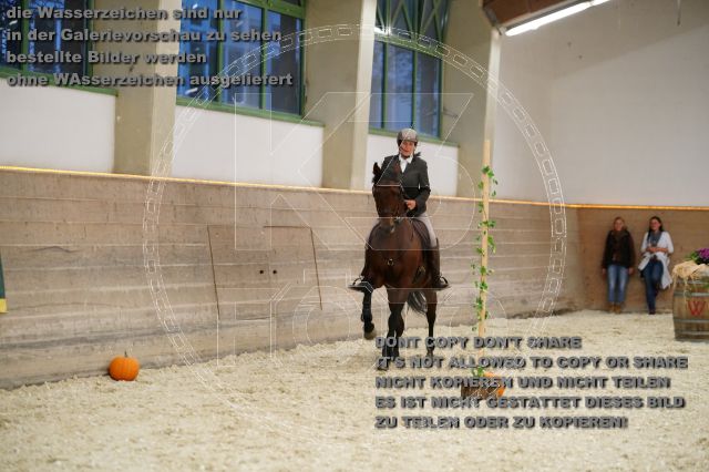s_K3F01467.JPG